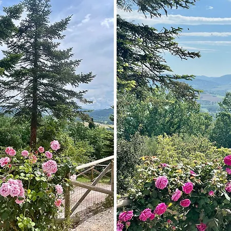 Castelli Di Napoleone