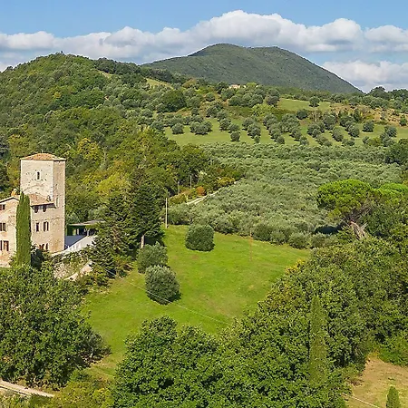 Castelli Di Napoleone *