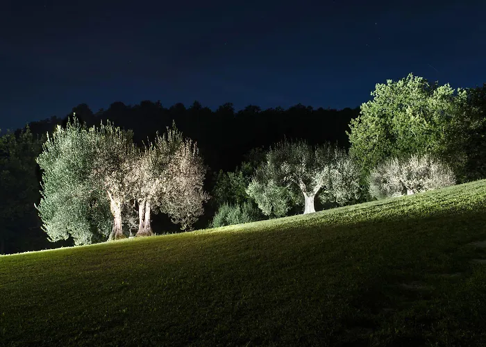 Castelli Di Napoleone *