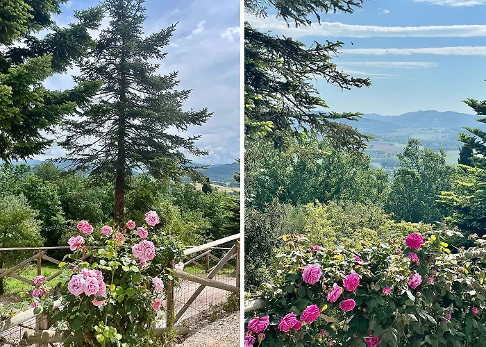 Castelli Di Napoleone